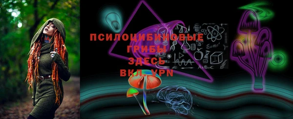 apvp Каменск-Шахтинский