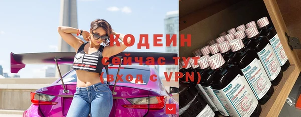 крисы Иннополис