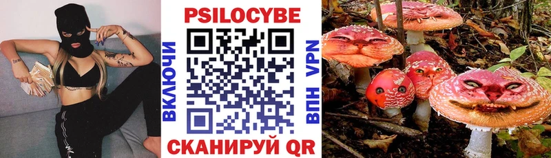 Галлюциногенные грибы Cubensis Коркино