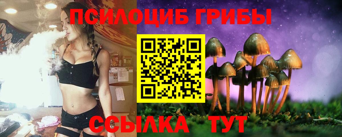 Псилоцибиновые грибы Cubensis Коркино