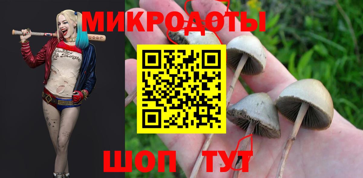Коркино  Псилоцибиновые грибы прущие грибы  Галлюциногенные грибы Psilocybe  Вход с VPN 