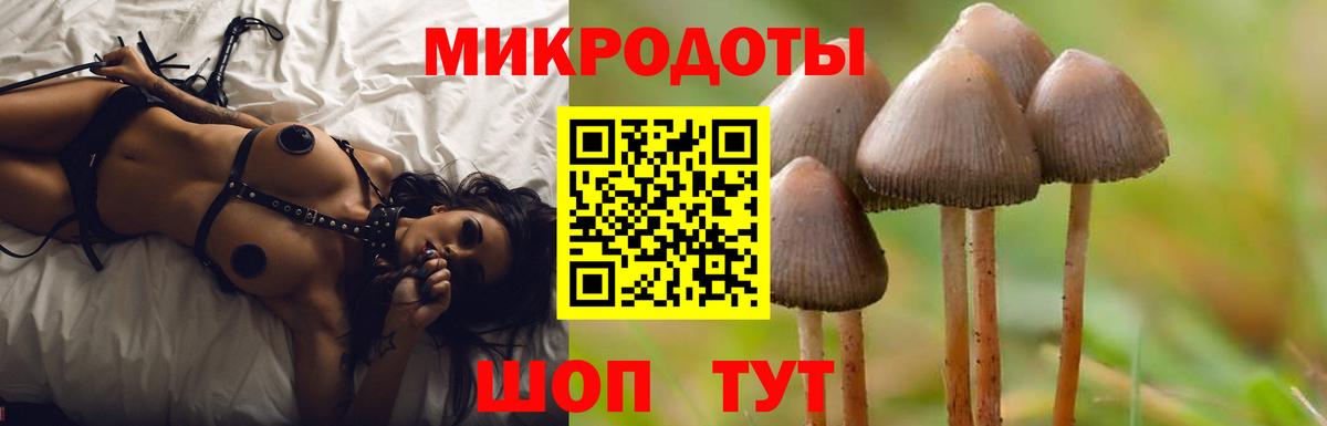 Псилоцибиновые грибы Psilocybe  Коркино  Галлюциногенные грибы Psilocybe 